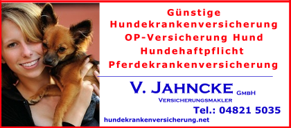 Hundekrankheit